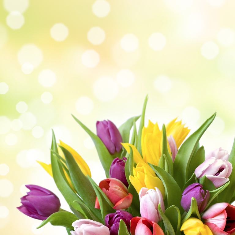 Bitte geben Sie bei Bestellung den Bildnamen an.